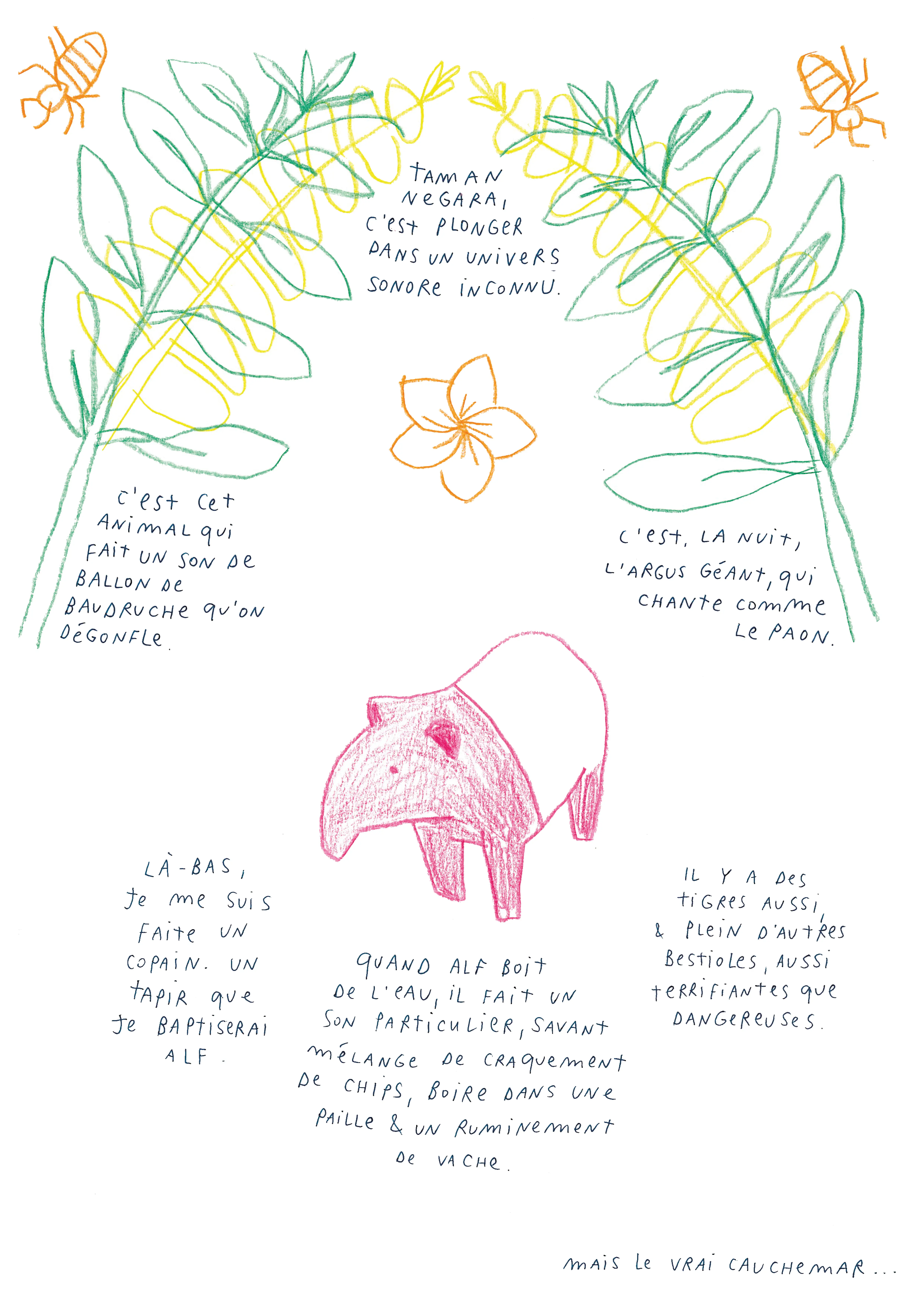 taman negara, tapir, argus, tigres